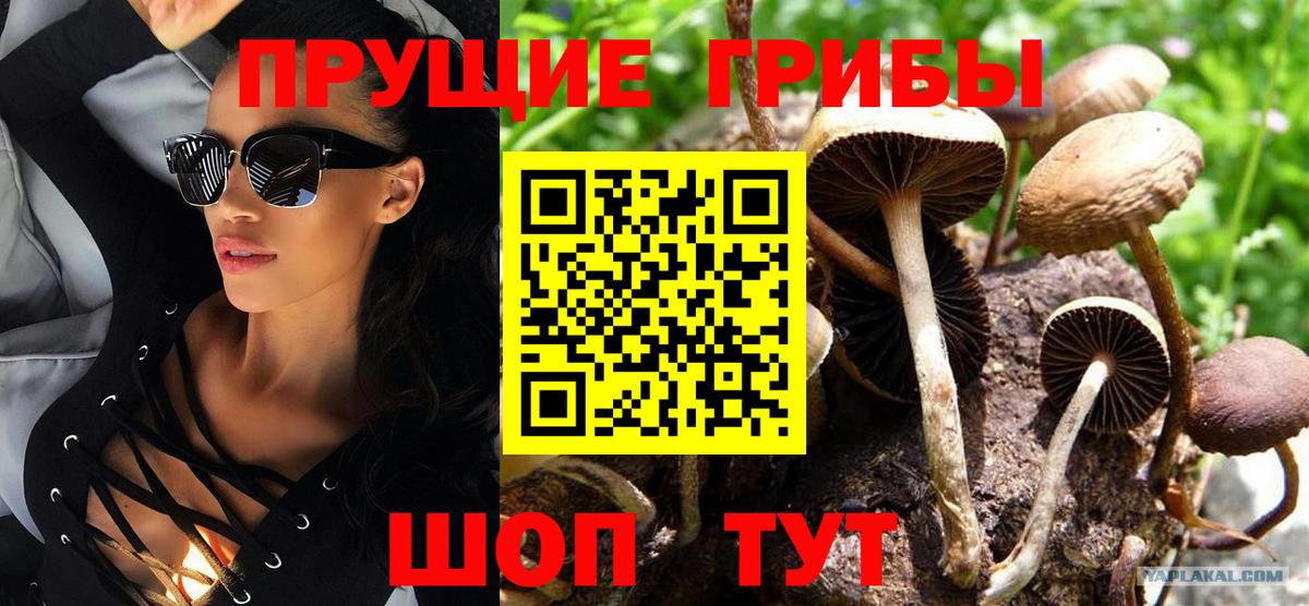 Лянтор  Галлюциногенные грибы мухоморы  Вход с VPN 