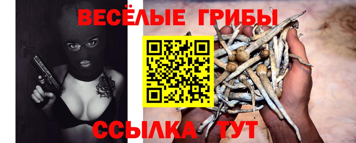 Псилоцибиновые грибы Psilocybine cubensis Лянтор
